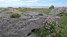 Die Küste des Burren nahe Doolin